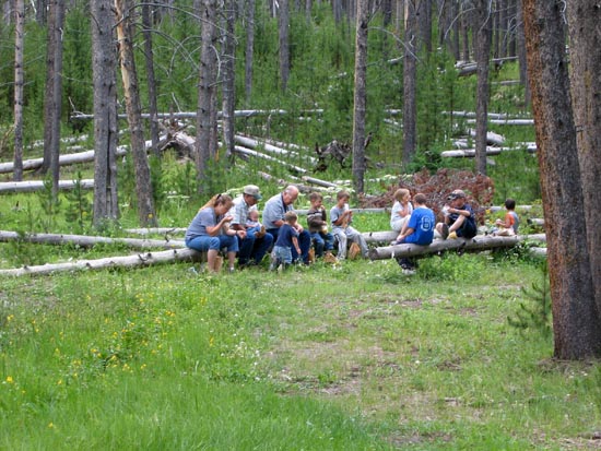 2006 family reunion in Yellowstone National Park
